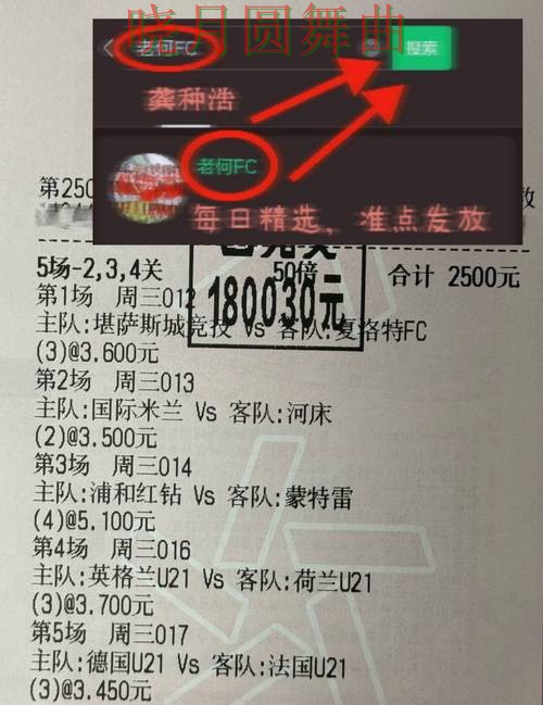 世界杯买球赛前数据分析方法汇总 避坑思路分享